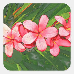 Pegatina Cuadrada Arte de Frangipani Tropical Rosa