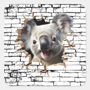 Pegatina Cuadrada Arte de Koala en Pared 3D – Safari Realista