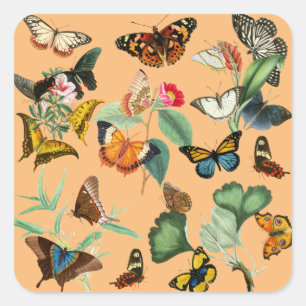 Pegatina Cuadrada Arte de mariposa vintage, fondo Naranja amarillo