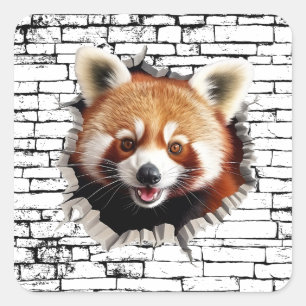 Pegatina Cuadrada Arte de ruptura de pared de panda rojo 3D – Safari