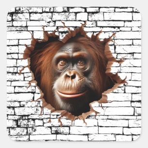 Pegatina Cuadrada Arte por ruptura de pared de Orangután en 3D - Saf