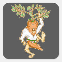 Artes marciales de zanahoria de Karate