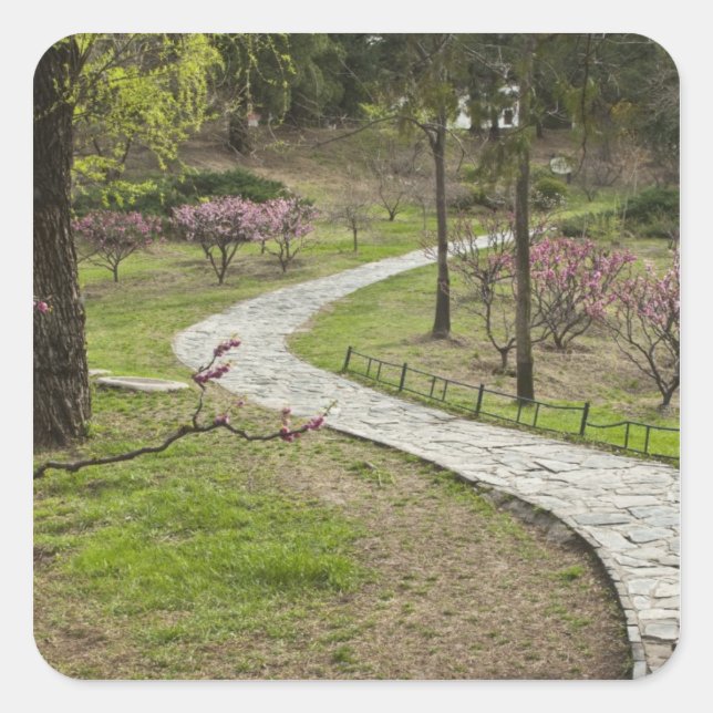 Pegatina Cuadrada Asia, China, Beijing. La primavera florece (Anverso)