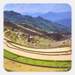 Pegatina Cuadrada Asia, China, provincia de Yunnan, condado de Yuany