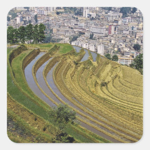 Pegatina Cuadrada Asia, China, provincia de Yunnan, Jinping. Jinping