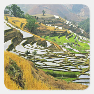 Pegatina Cuadrada Asia, China, Yunnan, Prefectura de Yuxi; Yuanjiang