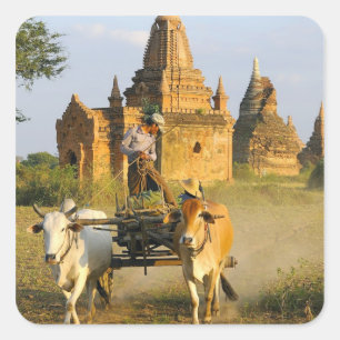 Pegatina Cuadrada Asia, Myanmar (Birmania), Bagan (Pagan). Un carro