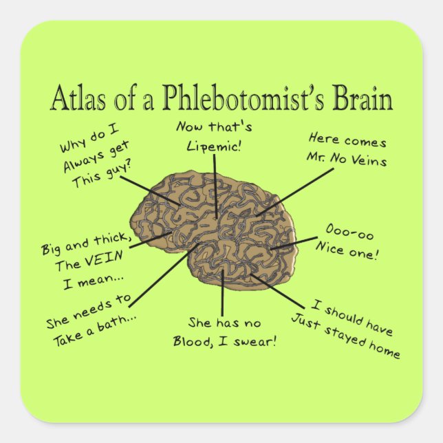 Pegatina Cuadrada Atlas del cerebro de un flebotomista (Anverso)