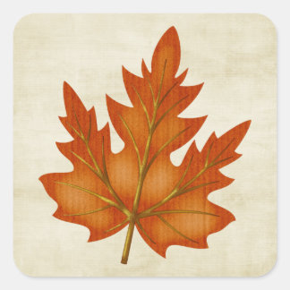 Pegatina Cuadrada Autumn Naranja Maple Leaf