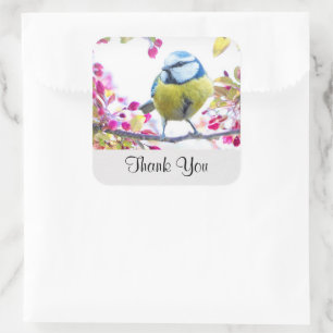 Pegatina Cuadrada Ave azul bonito y amarillo en una rama Gracias