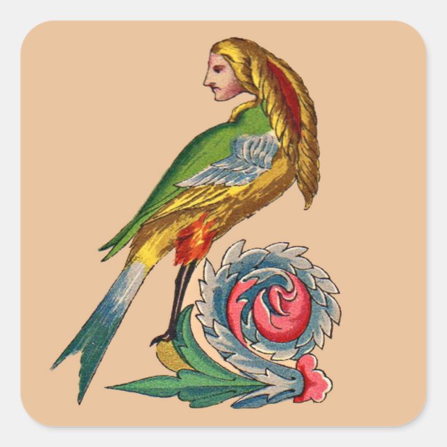 Pegatina Cuadrada ave humana (Anverso)