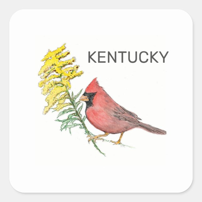 Pegatina Cuadrada Ave y flor del estado de Kentucky (Anverso)