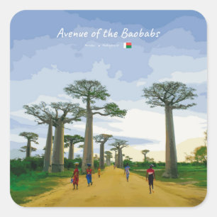 Pegatina Cuadrada Avenida de los Baobabs, Madagascar - Paisaje