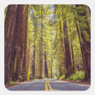 Pegatina Cuadrada Avenida de los Gigantes de California