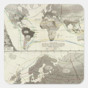 Pegatina Cuadrada Aves, Aves