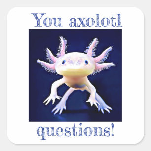 Pegatina Cuadrada Axolotl Salamander Amphibian