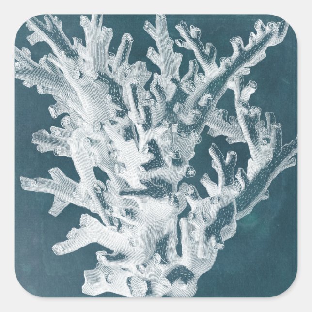 Pegatina Cuadrada Azure Coral I (Anverso)