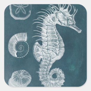 Pegatina Cuadrada Azure Seahorse Study I