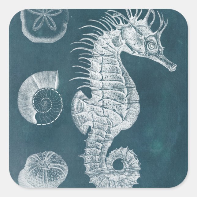 Pegatina Cuadrada Azure Seahorse Study I (Anverso)