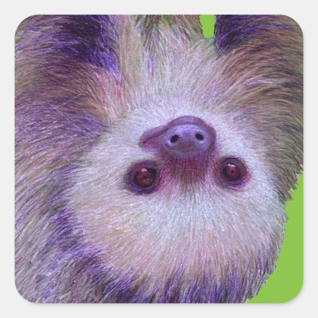 Pegatina Cuadrada Baby Sloth (Anverso)