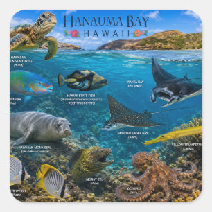 Pegatina Cuadrada Bahía de Hanauma Hawái