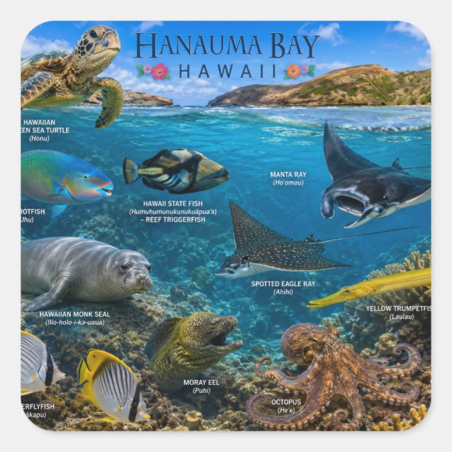 Pegatina Cuadrada Bahía de Hanauma Hawái (Anverso)