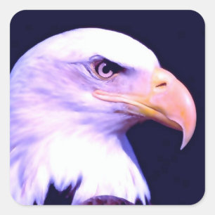 Pegatina Cuadrada Bald Eagle