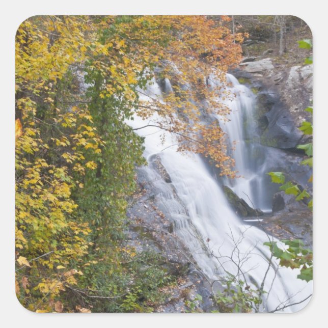 Pegatina Cuadrada Bald River Falls (Anverso)