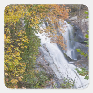 Pegatina Cuadrada Bald River Falls
