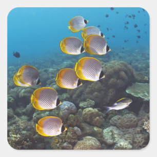 Pegatina Cuadrada Bali, Indonesia