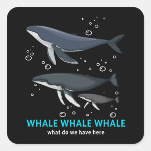 Pegatina Cuadrada Ballena Ballena ¿Qué Tenemos Aquí?