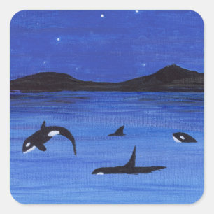 Pegatina Cuadrada Ballenas asesinas