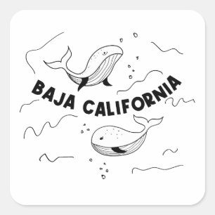 Pegatina Cuadrada Ballenas de Baja California