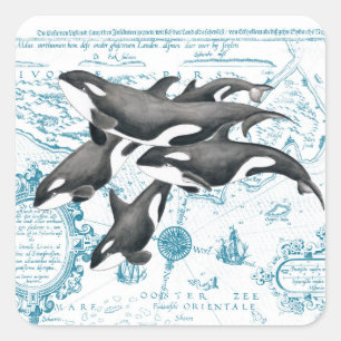 Pegatina Cuadrada Ballenas de orca azul antiguo