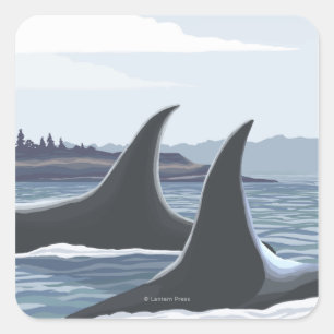 Pegatina Cuadrada Ballenas Orcas #1 - Ketchikan, Alaska
