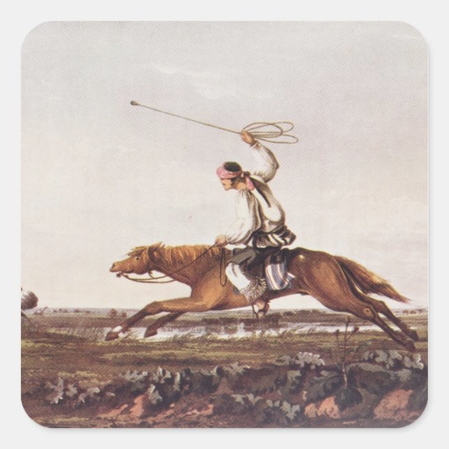 Pegatina Cuadrada Balling Ostriches (Anverso)