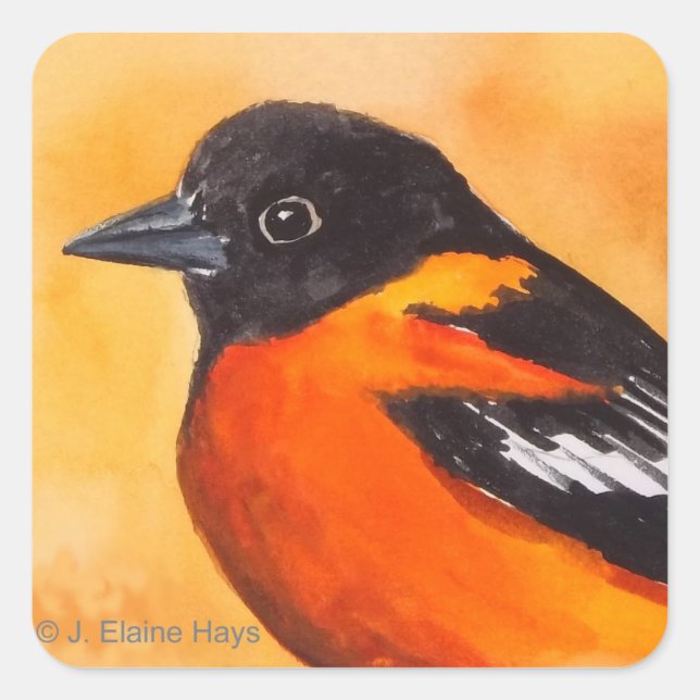 Pegatina Cuadrada Baltimore Oriole Bird Sticker (Anverso)