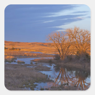 Pegatina Cuadrada Bañada a la luz del atardecer en el río Calamus