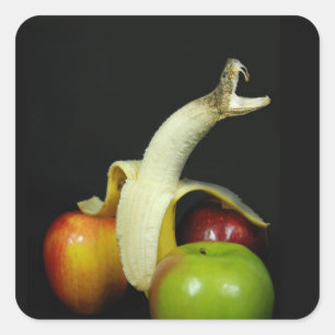 Pegatina Cuadrada Banana de serpientes con manzanas