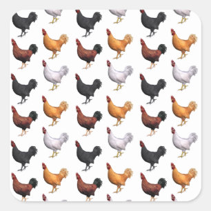 Pegatina Cuadrada Bandada de Gallos