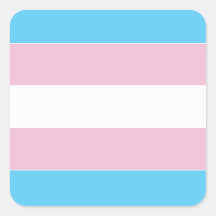 Bandera del Orgullo Transexual
