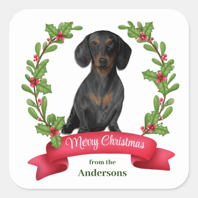 Pegatina Cuadrada Banner de Red Berry Holly Navidades de Dachshund (Anverso)
