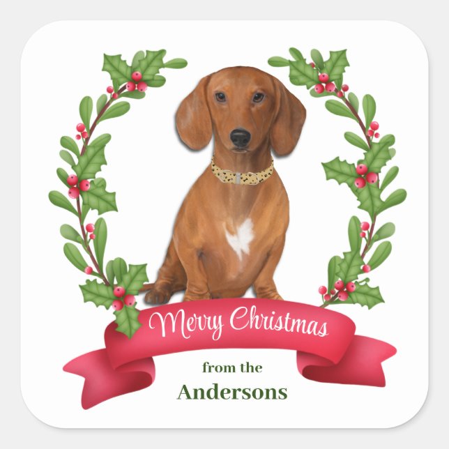 Pegatina Cuadrada Banner Red Berry Holly Navidades Red Dachshund (Anverso)
