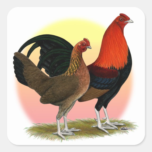 Pegatina Cuadrada Bantam, juego inglés antiguo: Rojo BB (Anverso)