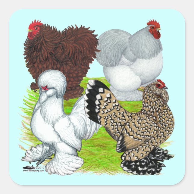 Pegatina Cuadrada Bantams Feather Legged (Anverso)