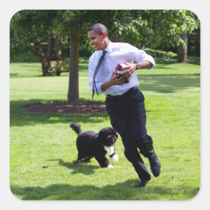 Pegatina Cuadrada Barack y Bo Obama