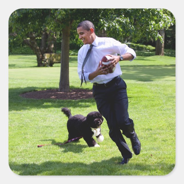 Pegatina Cuadrada Barack y Bo Obama (Anverso)