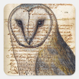 Pegatina Cuadrada Barn Owl