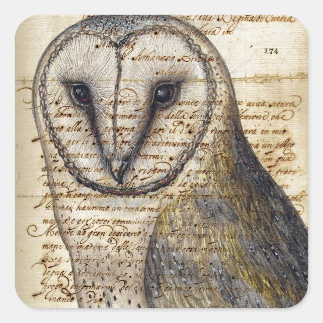 Pegatina Cuadrada Barn Owl (Anverso)