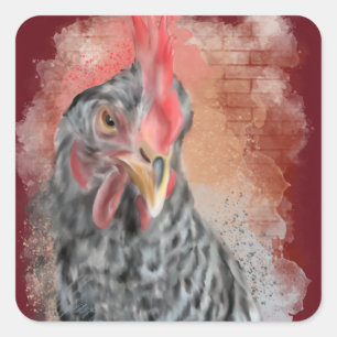 Pegatina Cuadrada Barred Rock Hen Classic